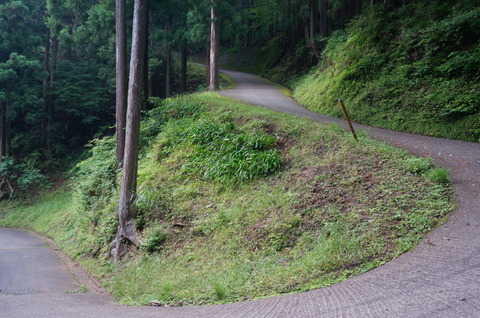 DSC03382