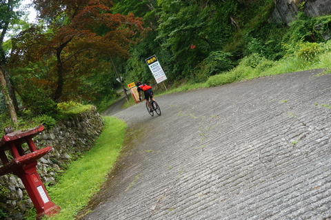 DSC03417