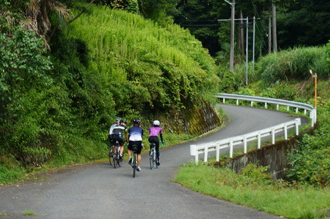 DSC04529