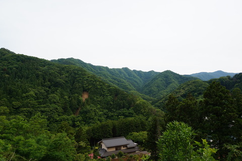 DSC03036