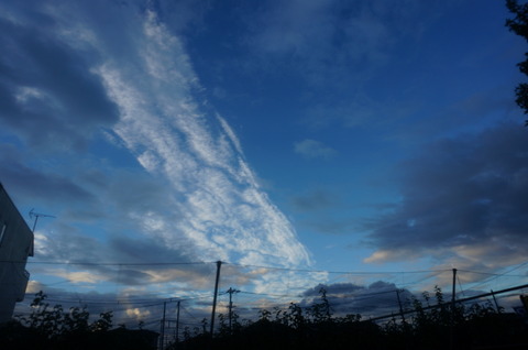 DSC04478