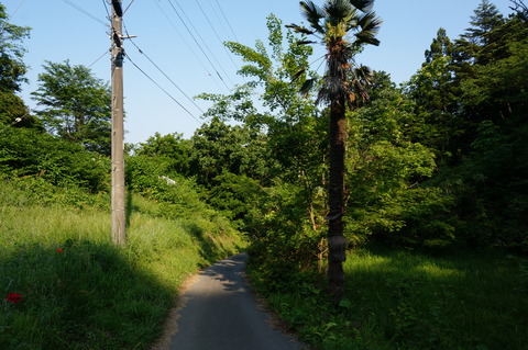 DSC02168