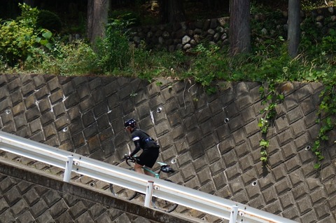 image_saka_sagami