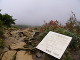 46a1538d.JPG