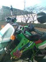 52444f92.jpg