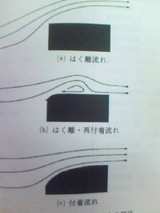 68349134.jpg
