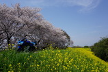 DSC00680