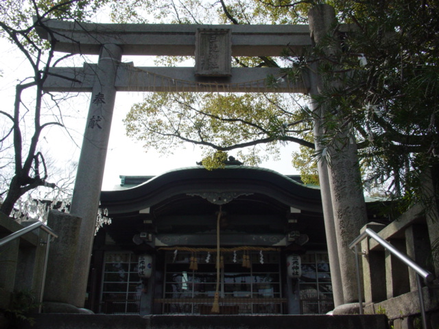 DSC05017