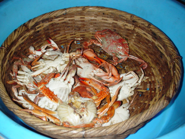50d469d3.jpg