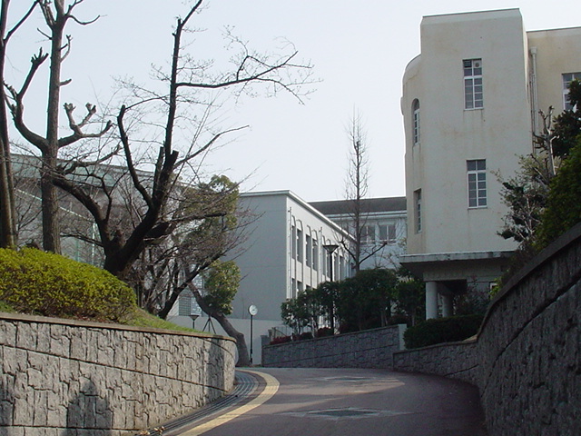 DSC05023