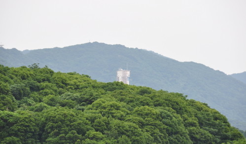 �ܸ��ΰ��̥����åȸ��ؾ줫�鸫�������åȼ;졪