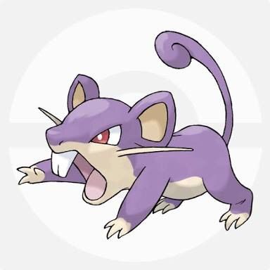 【朗報】ワイコラッタ、ご主人にアアアアアという名前をもらう