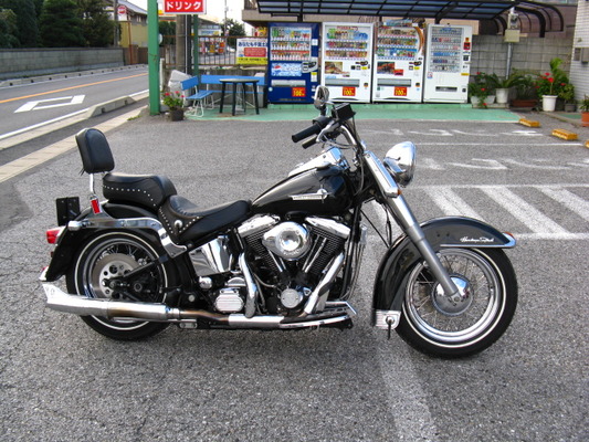 ハーレーエボ 純正パッシングライト 92FLSTC ドキッ!!】 1992年式FLSTC