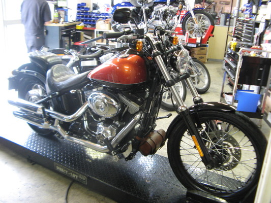 11FXSキジマプルバックバー