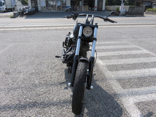 09FXDBレイクツリー、ロングフォーク5