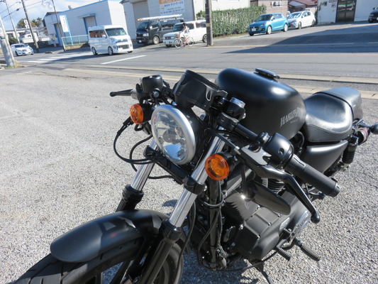 2014XL883N.セパハン.9