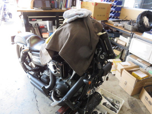 09FXDBレイクツリー、ロングフォーク2
