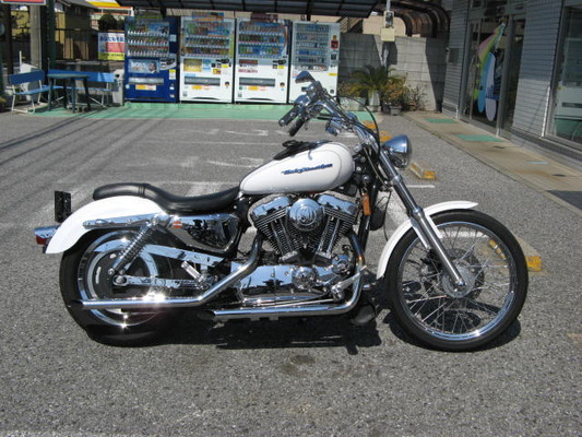65e536ff-s.jpg