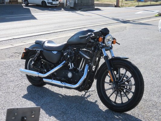 2014XL883N.セパハン.7