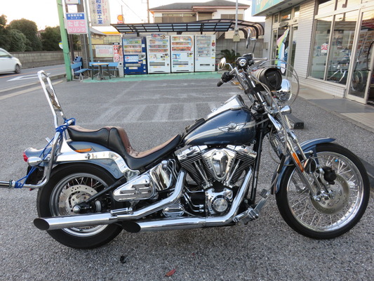 03FXSTS06
