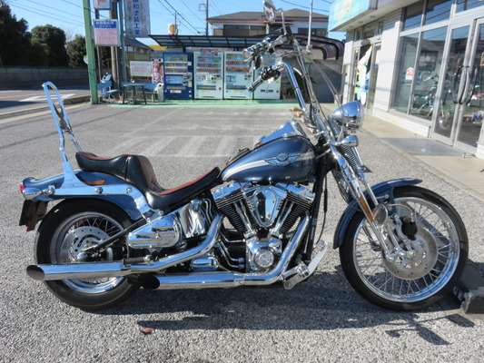03FXSTS01