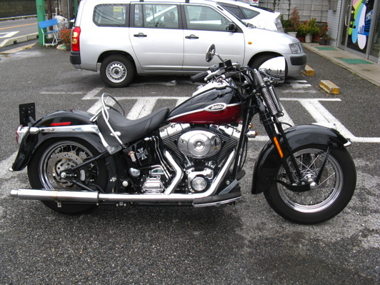 2005年式FLSTSC エアクリーナー交換！ : HarleyDavidsonパーツ