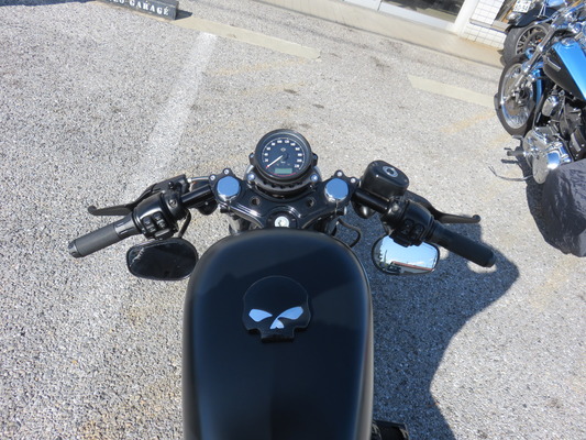 2014XL883N.セパハン.8