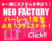 �ͥ������