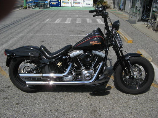 Harley-Davidson FLSTSB クロスボーンズ 純正タンクパネル Harley-Davidson FLSTSB クロスボーンズ 純正タンクパネル