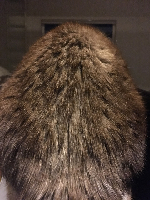 2017-11-14-21-52-05
