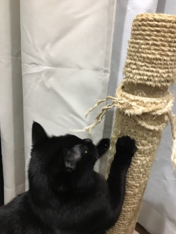 2017-01-10-23-23-38