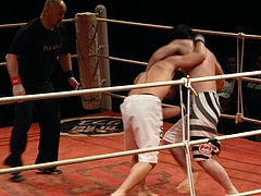 P1160452 P1160452