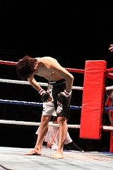 IMG_8808 IMG_8808