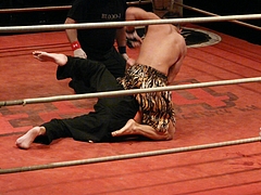 P1160202 P1160202