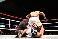 IMG_8835 IMG_8835