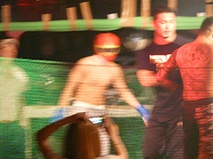 P1140387 P1140387