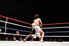 IMG_8822 IMG_8822