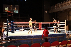 IMG_8606 IMG_8606