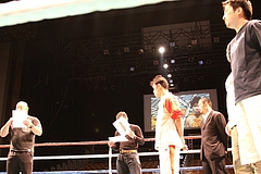IMG_8529 IMG_8529