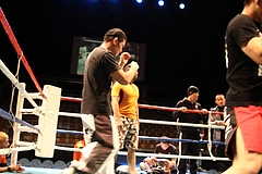 IMG_8608 IMG_8608