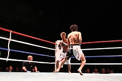 IMG_8823 IMG_8823