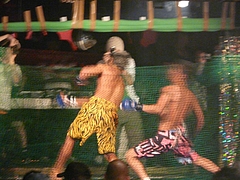 P1140453 P1140453