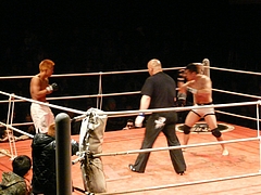 P1160355 P1160355