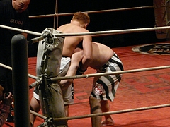 P1160430 P1160430