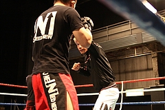 IMG_8607 IMG_8607