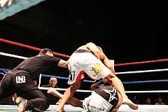 IMG_8834 IMG_8834