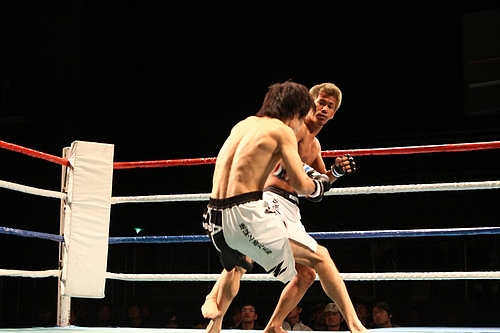 IMG_8824 IMG_8824