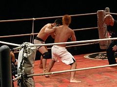 P1160313 P1160313