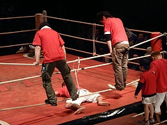 P1160240 P1160240