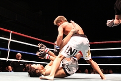 IMG_8828 IMG_8828